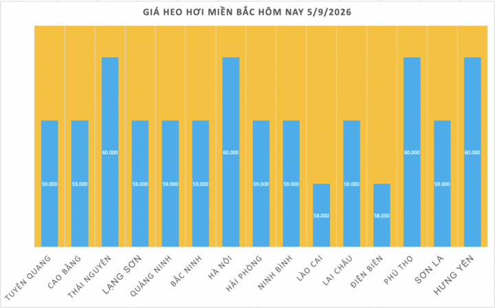 Giá heo hơi hôm nay 5/9/2026: Tăng cục bộ tại miền Bắc - 1