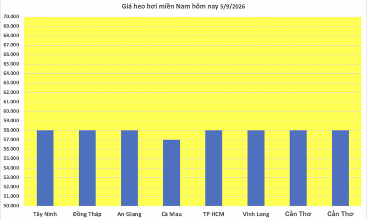 Giá heo hơi hôm nay 5/9/2026: Tăng cục bộ tại miền Bắc - 3