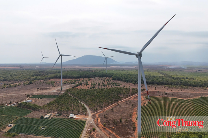Chỉ số sản xuất công nghiệp (IIP) tháng 8/2026 tăng 19,14% so với cùng kỳ năm trước. Tính chung 8 tháng, IIP tăng 10,6%, trong đó ngành công nghiệp chế biến, chế tạo tăng 17,31%.