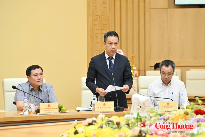 Thứ trưởng Bộ Công Thương Nguyễn Việt Sơn phát biểu nhận nhiệm vụ. Ảnh: Cấn Dũng