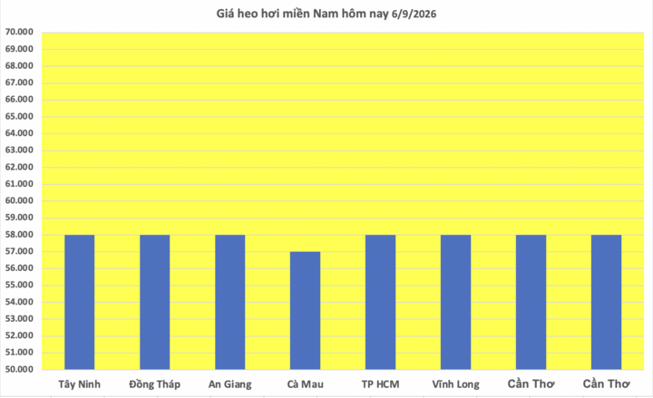 Giá heo hơi hôm nay 6/9/2026: Tăng nhẹ trong tuần - 3