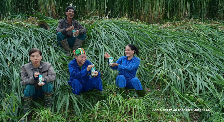 Khi đầu ra đủ rõ ràng, người nông dân có thêm cơ sở để đầu tư vào đất đai, tổ chức sản xuất và tính toán cuộc sống lâu dài ngay tại quê nhà.