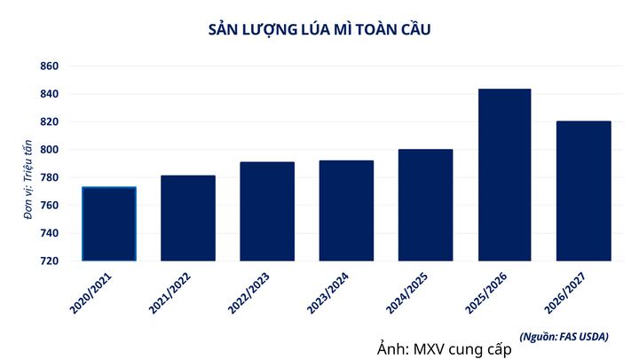 Sản lượng lúa mì toàn cầu