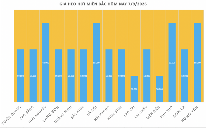 Giá heo hơi hôm nay 7/9/2026: Dao động từ 57.000 - 60.000 đồng/kg - 1