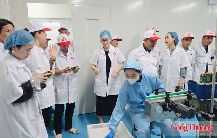 Bên trong nhà máy sản xuất của Công ty TNHH Phát triển Khoa học Quốc tế Trường Sinh.