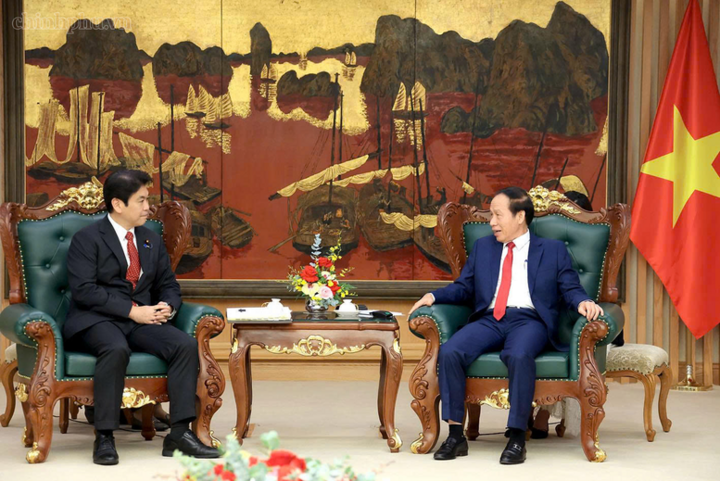 Phó Thủ tướng đề nghị Bộ trưởng Matsumoto tiếp tục quan tâm, thúc đẩy một số nội dung - Ảnh: chinhphu.vn/Thu Sa