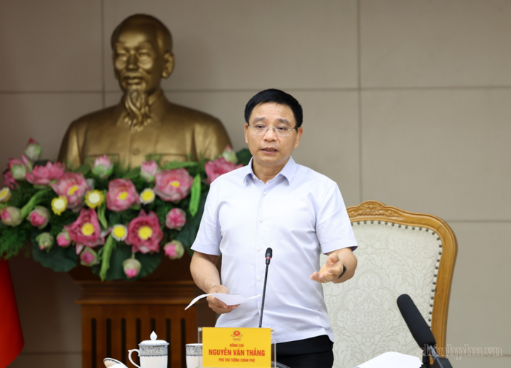 Phó Thủ tướng Nguyễn Văn Thắng phát biểu kết luận cuộc họp - Ảnh chinhphu.vn/Đức Tuân