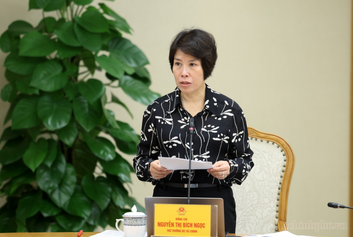 Thứ trưởng Bộ Tài chính Nguyễn Thị Bích Ngọc báo cáo tại phiên họp - Ảnh chinhphu.vn/Đức Tuân