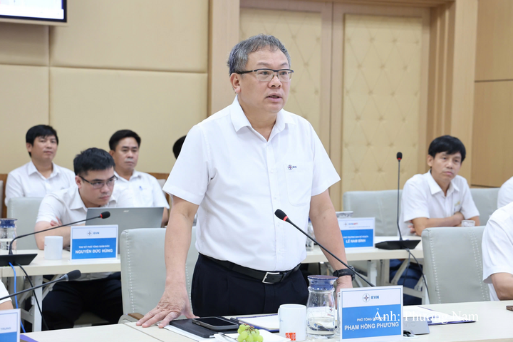Ông Phạm Hồng Phương, Phó Tổng giám đốc EVN phát biểu tại buổi làm việc