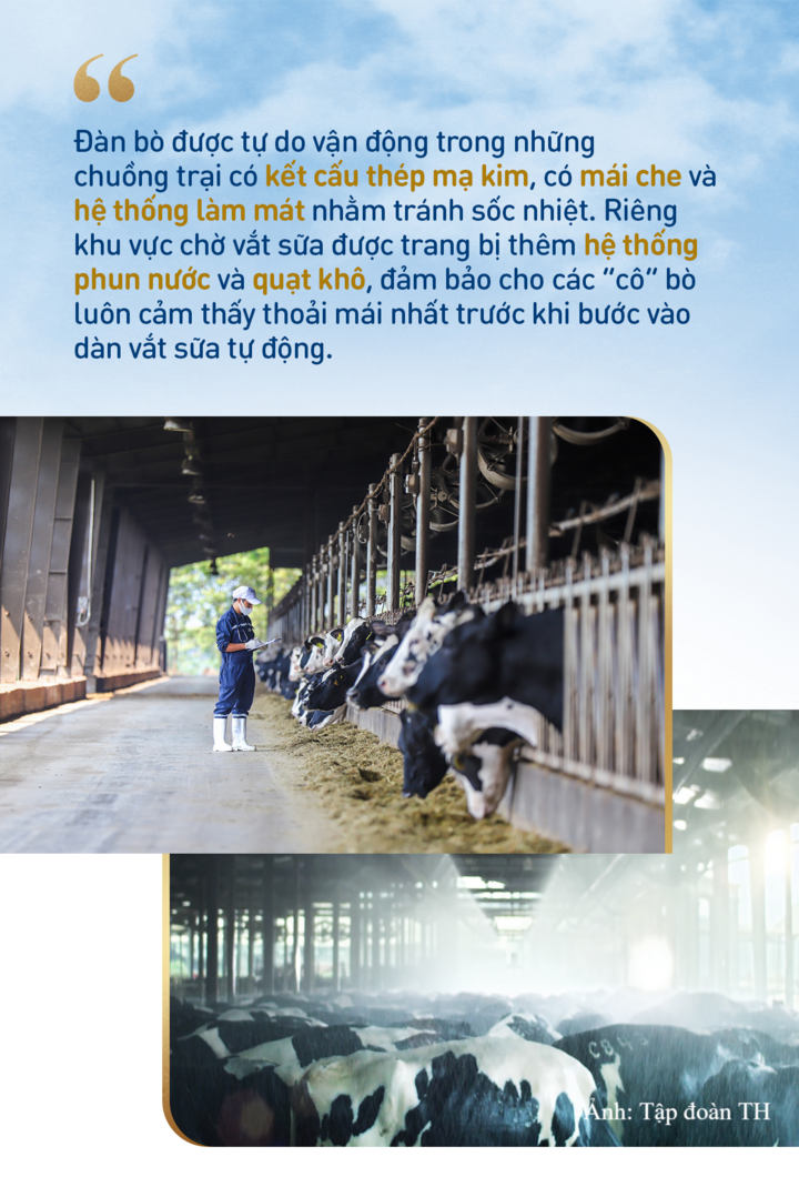 Những dấu ấn làm nên chất lượng sữa tươi sạch TH true MILK - 1