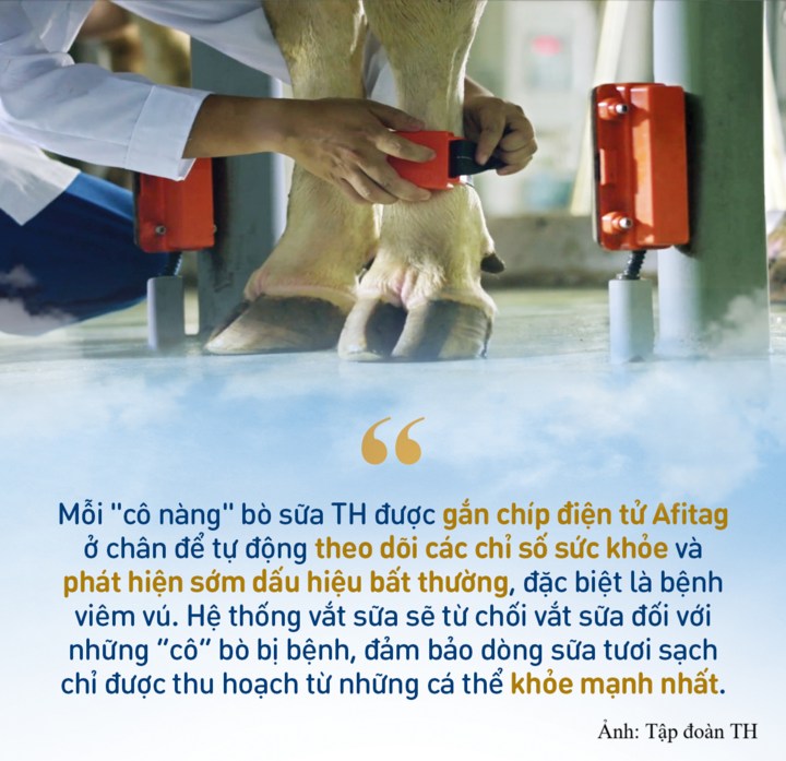 Những dấu ấn làm nên chất lượng sữa tươi sạch TH true MILK - 4