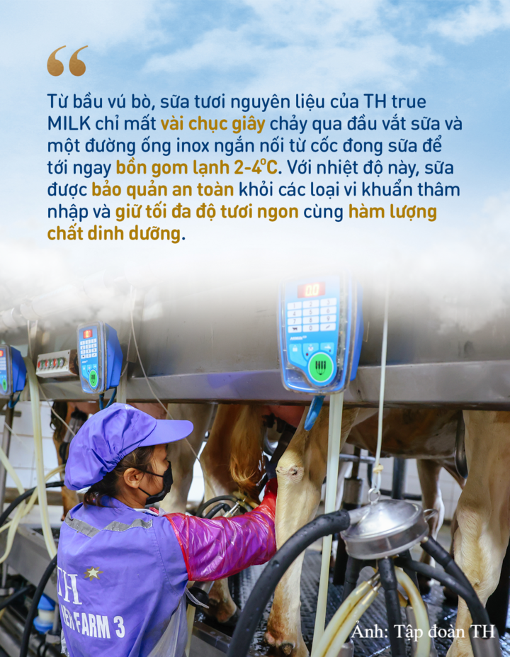 Những dấu ấn làm nên chất lượng sữa tươi sạch TH true MILK - 5