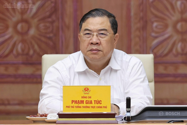 Phó Thủ tướng Thường trực Phạm Gia Túc tham dự cuộc họp - Ảnh: chinhphu.vn/Nhật Bắc