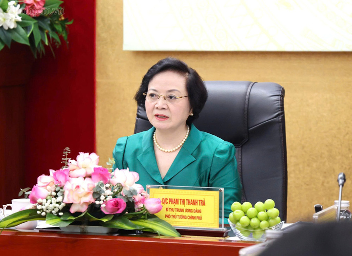 Phó Thủ tướng Phạm Thị Thanh Trà phát biểu tại buổi làm việc - Ảnh: chinhphu.vn/Thu Giang