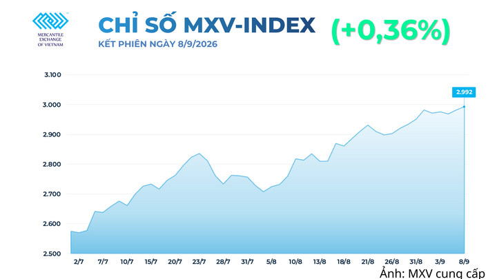 Chỉ số MXV-Index.