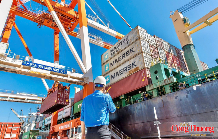 Thực hiện quy hoạch phát triển hệ thống cảng biển quốc gia, Cảng Quy Nhơn thuộc nhóm cảng biển số 3.