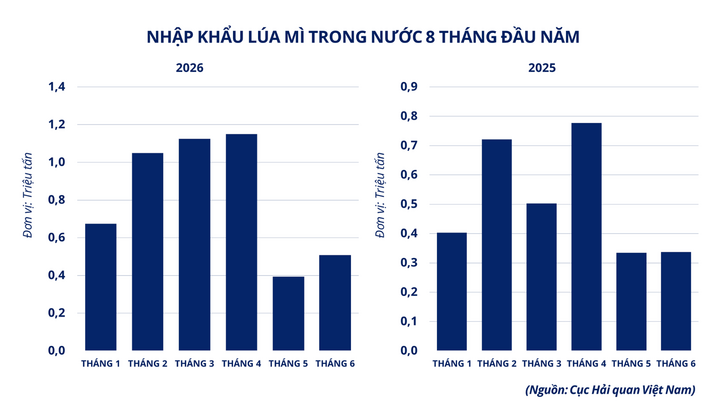 Nhập khẩu lúa mì Việt Nam 8 tháng đầu năm.