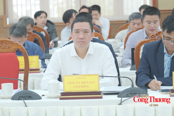 Ông Phan Sỹ Duy, Giám đốc Công ty Điện lực Lâm Đồng tại buổi làm việc.