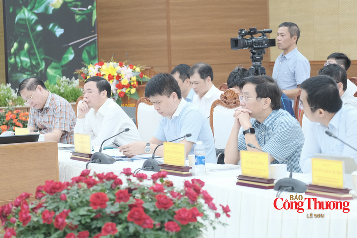 Thứ trưởng Trương Thanh Hoài làm việc với tỉnh Lâm Đồng về tăng trưởng 2 con số - 4