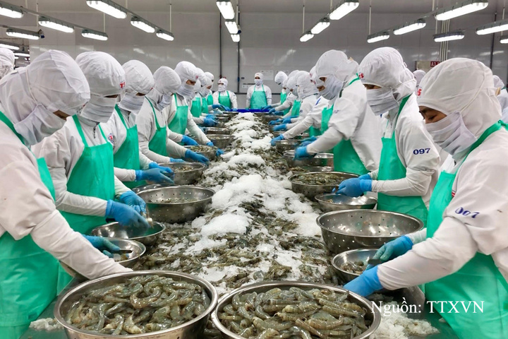 Thuỷ sản là một trong những mặt hàng xuất khẩu chủ lực sang Nhật Bản.
