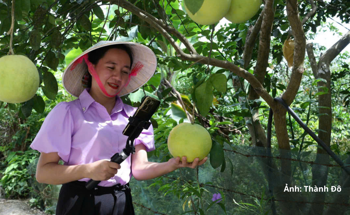 Môi trường số đưa sản phẩm vùng miền tới gần hơn với người tiêu dùng cả nước.