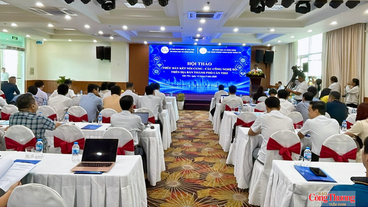 Quang cảnh tại hội thảo.