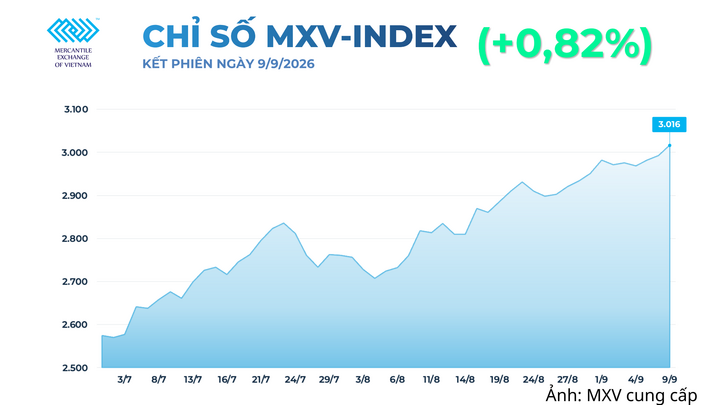 Chỉ số MXV-Index