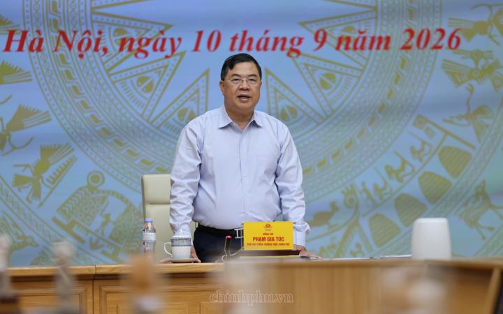 Phó Thủ tướng Thường trực phát biểu tại cuộc làm việc - Ảnh: chinhphu.vn/Phương Nguyên