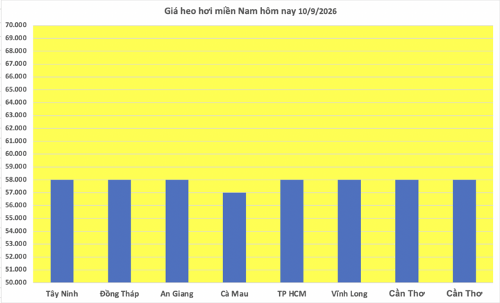 Giá heo hơi hôm nay 10/9/2026: Giảm nhẹ cục bộ tại miền Bắc  - 3
