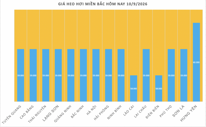 Giá heo hơi hôm nay 10/9/2026: Giảm nhẹ cục bộ tại miền Bắc  - 1