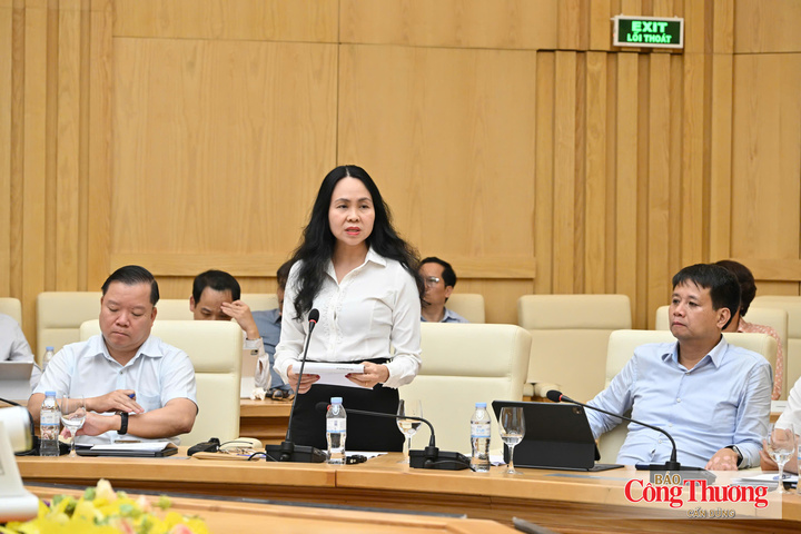 Bà Lê Hoàng Oanh, Cục trưởng Cục Thương mại điện tử và Kinh tế số
