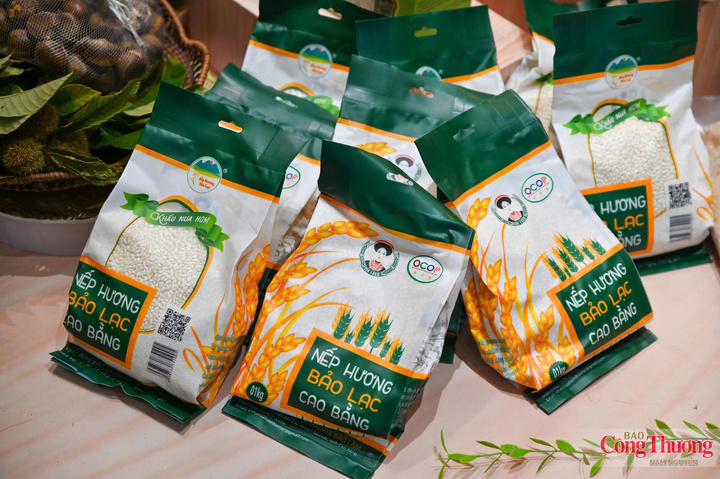 Cao Bằng: ‘Khơi nguồn’ sức trẻ, mở thị trường cho đặc sản địa phương - 3