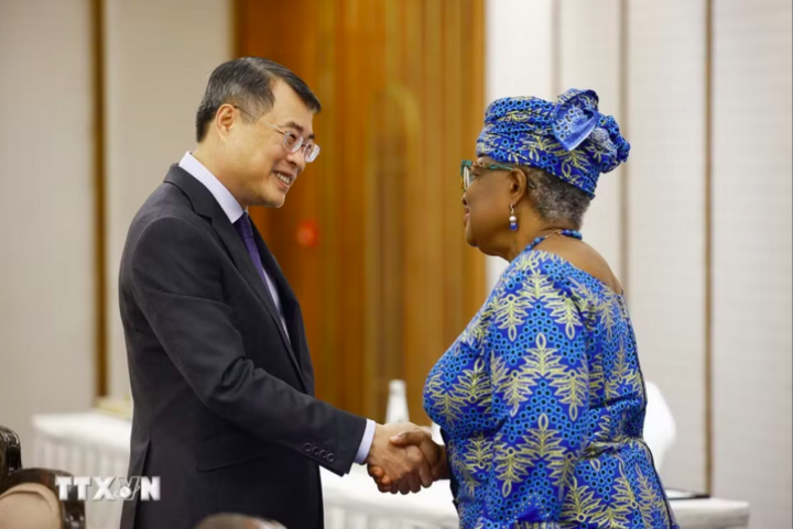 Chiều 12/9/2026, Thủ tướng Chính phủ Lê Minh Hưng tiếp bà Ngozi Okonjo-Iweala, Tổng Giám đốc Tổ chức Thương mại Thế giới (WTO). (Ảnh: Dương Giang/TTXVN)