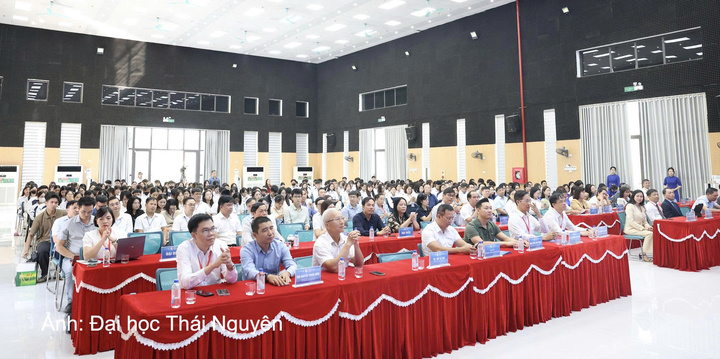 Các đại biểu tham dự hội nghị.