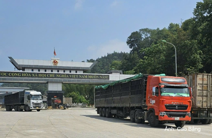 Hoạt động thông quan hàng hóa qua Cửa khẩu quốc tế Trà Lĩnh (tỉnh Cao Bằng).