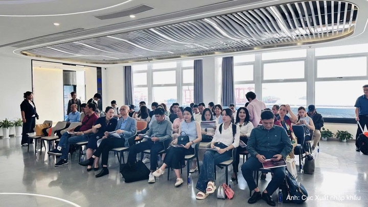 Đoàn công tác tìm hiểu mô hình hoạt động và khai thác Cảng Mai Sơn.