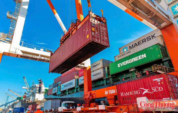 Cảng Quy Nhơn đã đưa vào khai thác bến số 1 cùng các tuyến tàu container đi trực tiếp đến châu Âu, Mỹ và Đông Bắc Á.