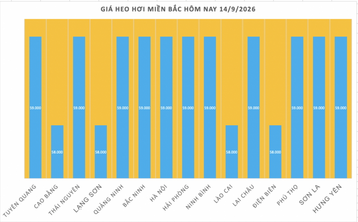 Giá heo hơi hôm nay 14/9/2026: Đồng loạt chững giá - 1