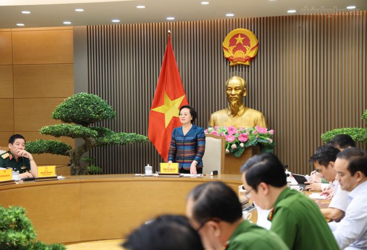 Phó Thủ tướng Phạm Thị Thanh Trà làm việc với các bộ, ngành, cơ quan về công tác giám định ADN xác định danh tính hài cốt liệt sĩ - Ảnh: chinhphu.vn/Thu Giang