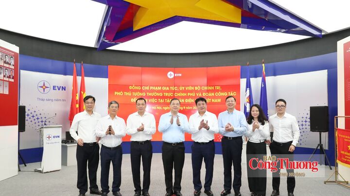 Phó Thủ tướng Phạm Gia Túc chụp ảnh chung với cán bộ, lãnh đạo EVN tại Phòng truyền thống Tập đoàn.