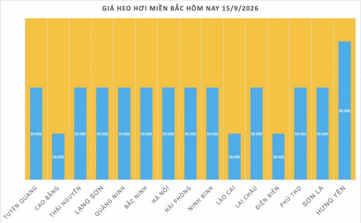 Giá heo hơi hôm nay 15/9/2026: Tăng tại 2 địa phương miền Bắc - 1
