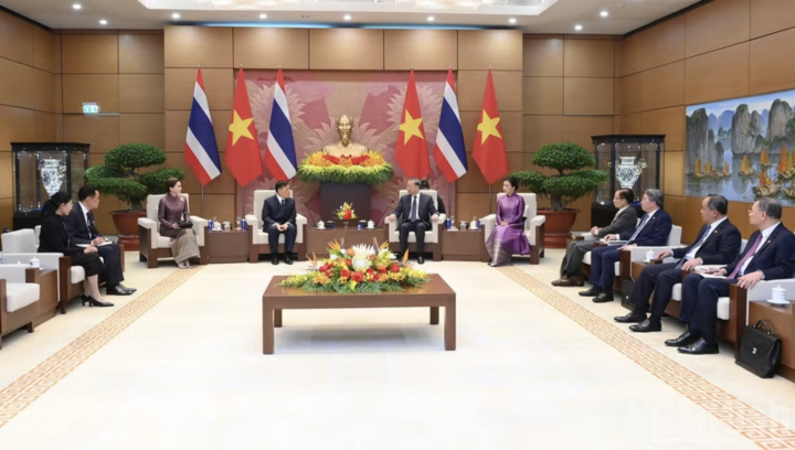 Quang cảnh hội đàm giữa Tổng Bí thư, Chủ tịch nước Tô Lâm và Nhà vua Thái Lan Maha Vajiralongkorn Phra Vajiraklaochaoyuhua, tại Hà Nội, ngày 15/9/2026. Ảnh: Đăng Khoa