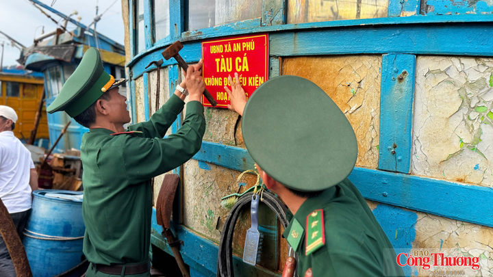 Quảng Ngãi siết chặt quản lý đối với những tàu cá không đủ tiêu chuẩn, nguy cơ cao vi phạm khai thác IUU