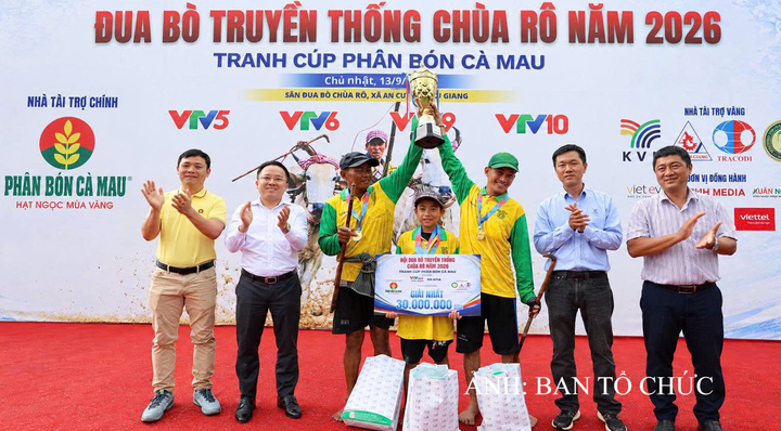 Ban tổ chức trao cúp và tiền thưởng vô địch Hội đua bò chùa Rô năm 2026 cho đôi bò mang số 08 của ông Nguyễn Thanh Tùng.