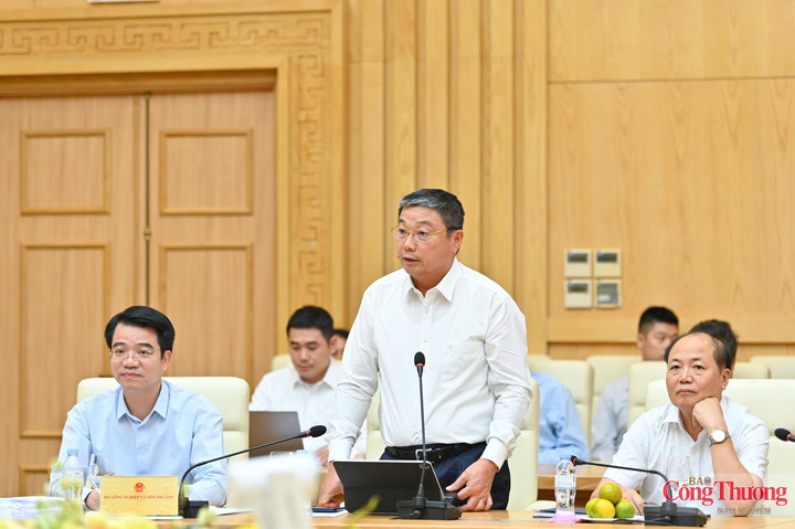 Ông Trần Bình Trọng, Cục trưởng Cục Địa chất và Khoáng sản Việt Nam
