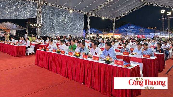 Các đại biểu dự lễ khai mạc.
