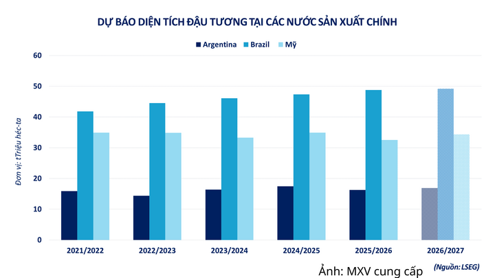Dự báo diện tích đậu tương tại các nước sản xuất chính.