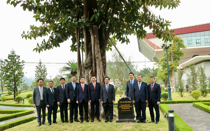 Phó Thủ tướng Thường trực Phạm Gia Túc thăm Cây đa Hữu nghị do cố Tổng Bí thư Nguyễn Phú Trọng trồng tại Cửa khẩu quốc tế Hữu Nghị 25/8/2023 - Ảnh: chinhphu.vn/Phương Nguyên