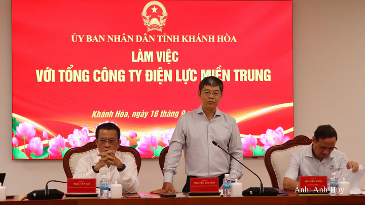 Ông Nguyễn Tài Anh, Phó Tổng giám đốc EVN phát biểu tại buổi làm việc