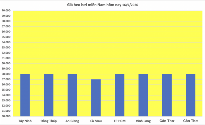 Giá heo hơi hôm nay 16/9/2026: Tăng cục bộ vài nơi - 3